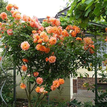 Ferienwohnung Storchennest In Itzgrund-Kaltenbrunn Kaltenbrunn  ภายนอก รูปภาพ