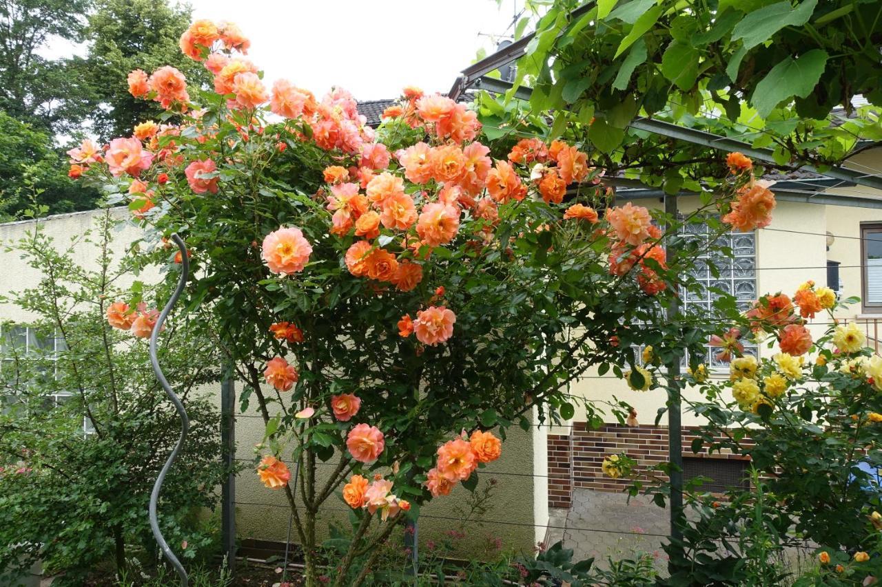 Ferienwohnung Storchennest In Itzgrund-Kaltenbrunn Kaltenbrunn  ภายนอก รูปภาพ